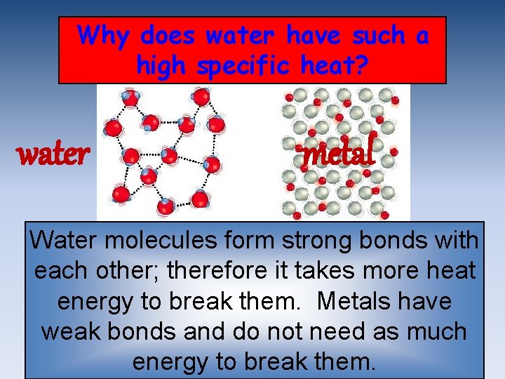 Why does water have such a high specific heat? water metal Water molecules form