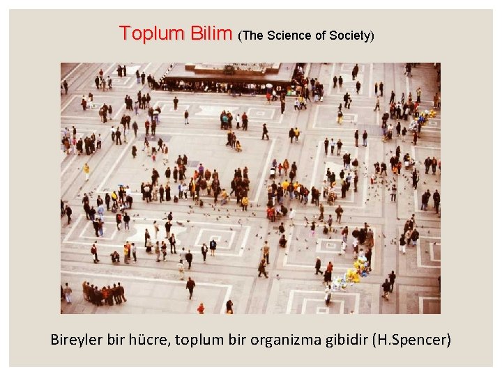 Toplum Bilim (The Science of Society) Bireyler bir hücre, toplum bir organizma gibidir (H.