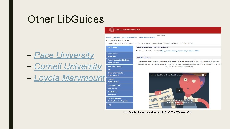 Other Lib. Guides – Pace University – Cornell University – Loyola Marymount http: //guides.