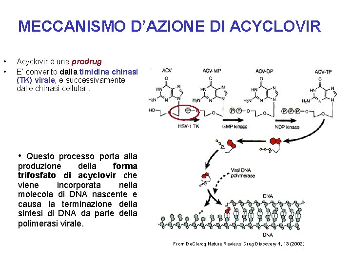 MECCANISMO D’AZIONE DI ACYCLOVIR • • Acyclovir è una prodrug E’ converito dalla timidina