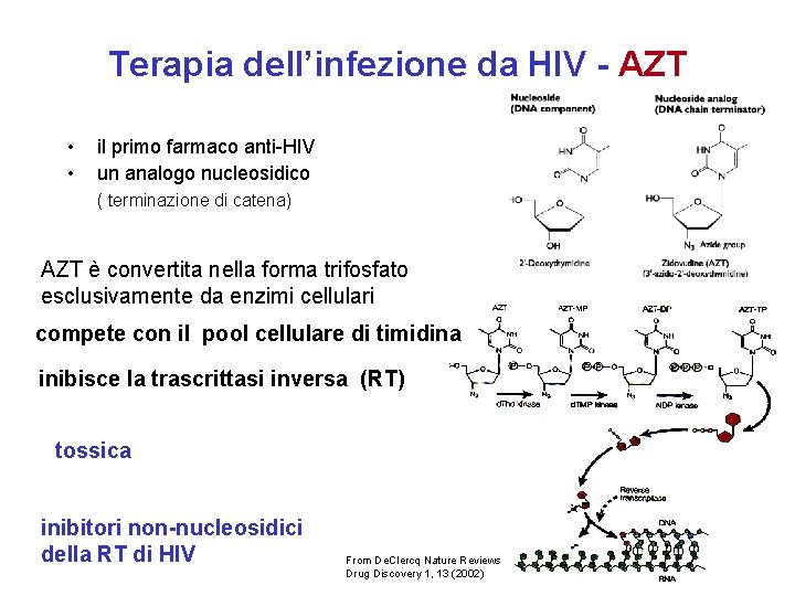 Terapia dell’infezione da HIV - AZT • • il primo farmaco anti-HIV un analogo