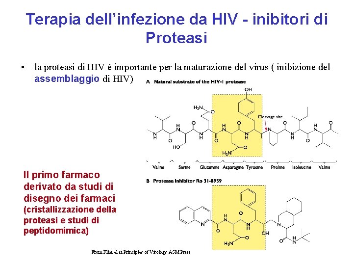 Terapia dell’infezione da HIV - inibitori di Proteasi • la proteasi di HIV è