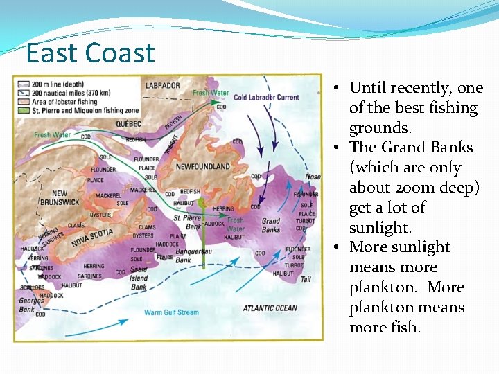 East Coast • Until recently, one of the best fishing grounds. • The Grand