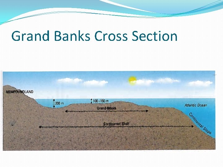 Grand Banks Cross Section 