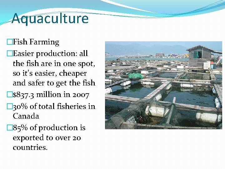 Aquaculture �Fish Farming �Easier production: all the fish are in one spot, so it’s