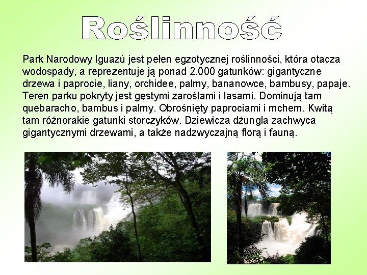 Park Narodowy Iguazú jest pełen egzotycznej roślinności, która otacza wodospady, a reprezentuje ją ponad