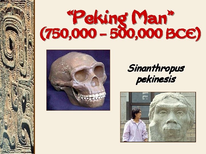 “Peking Man” (750, 000 – 500, 000 BCE) Sinanthropus pekinesis 