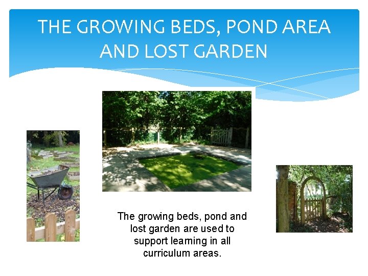 THE GROWING BEDS, POND AREA AND LOST GARDEN The growing beds, pond and lost