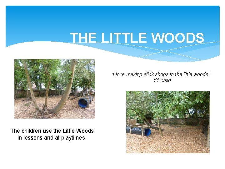 THE LITTLE WOODS ‘I love making stick shops in the little woods. ’ Y