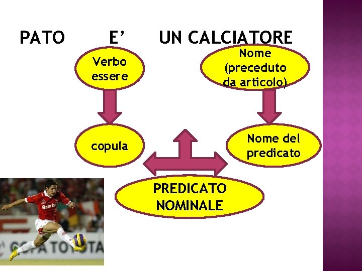 PATO E’ Verbo essere UN CALCIATORE Nome (preceduto da articolo) Nome del predicato copula