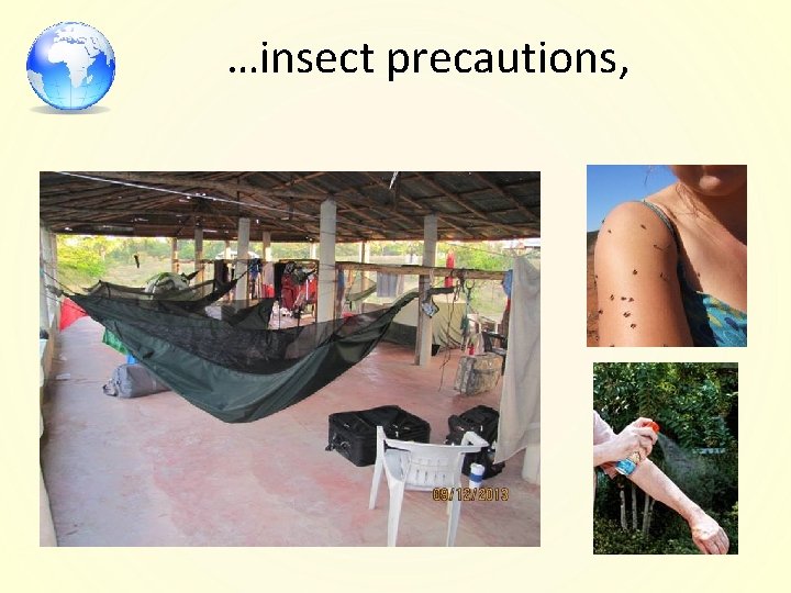 …insect precautions, 