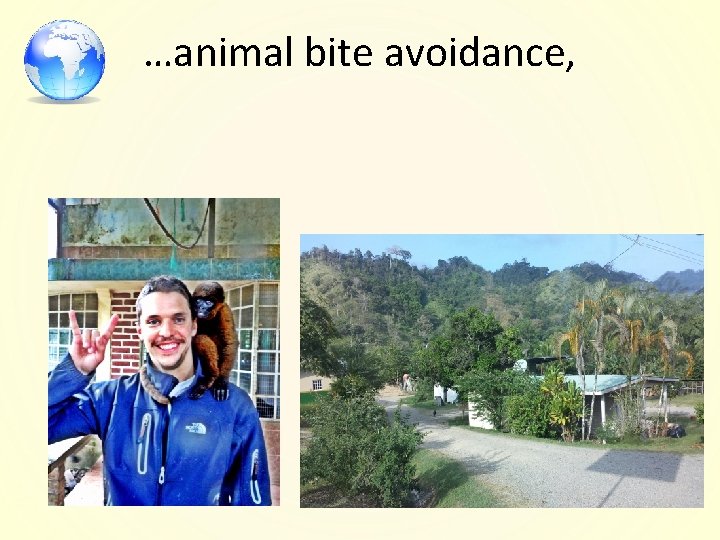 …animal bite avoidance, 