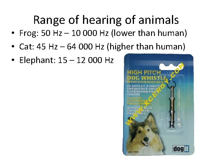 Range of hearing of animals • Frog: 50 Hz – 10 000 Hz (lower