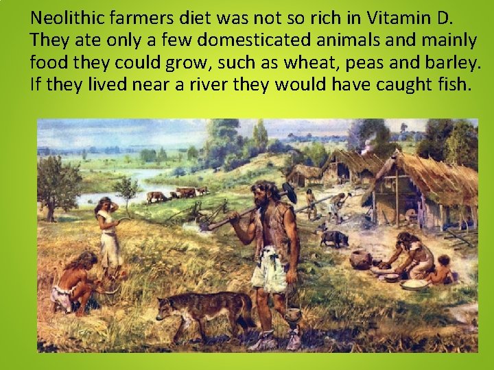 Neolithic farmers diet was not so rich in Vitamin D. They ate only a Neolithic farmers diet was not so rich in Vitamin D. They ate only a