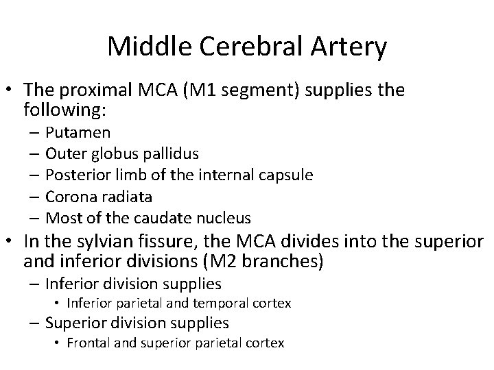 Middle Cerebral Artery • The proximal MCA (M 1 segment) supplies the following: –