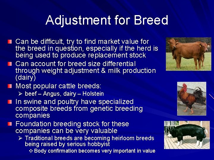 Adjustment for Breed Can be difficult, try to find market value for the breed