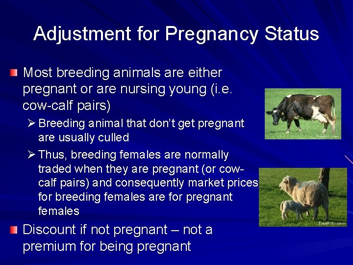 Adjustment for Pregnancy Status Most breeding animals are either pregnant or are nursing young