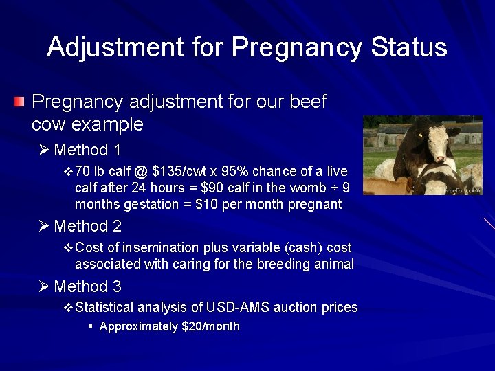 Adjustment for Pregnancy Status Pregnancy adjustment for our beef cow example Ø Method 1