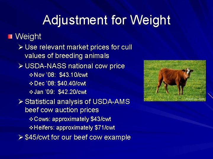 Adjustment for Weight Ø Use relevant market prices for cull values of breeding animals