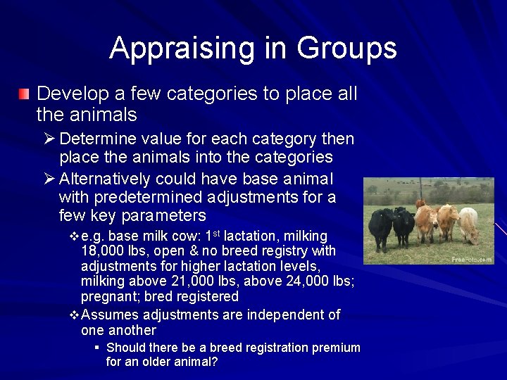 Appraising in Groups Develop a few categories to place all the animals Ø Determine