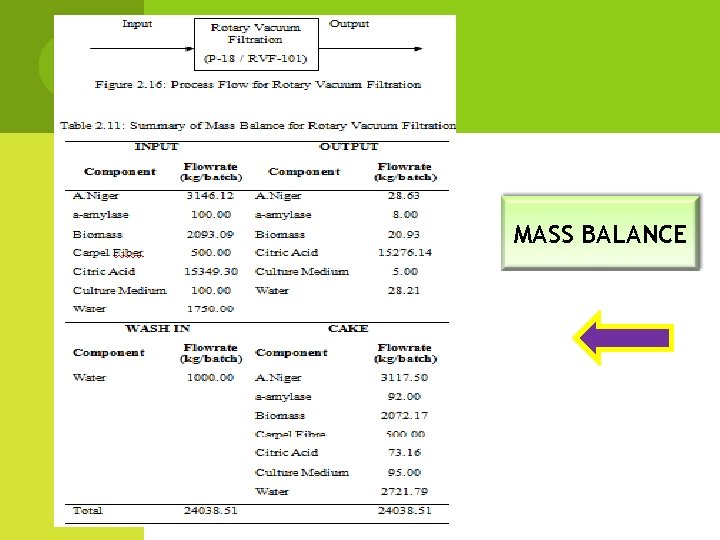 MASS BALANCE 