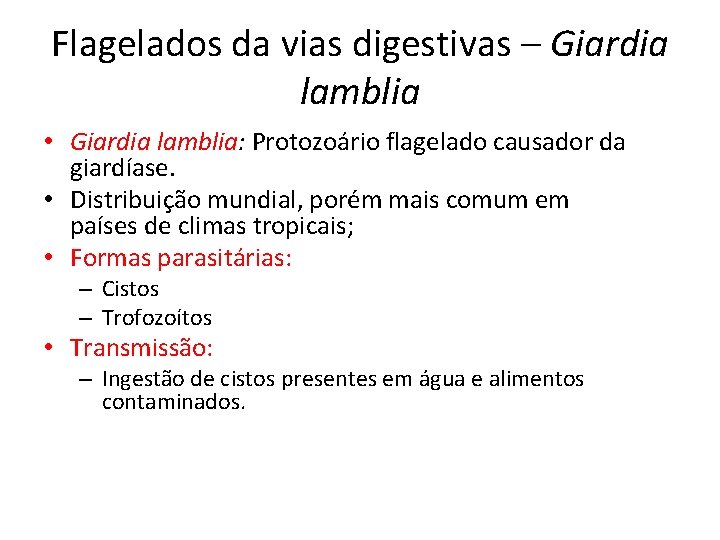 Flagelados da vias digestivas – Giardia lamblia • Giardia lamblia: Protozoário flagelado causador da