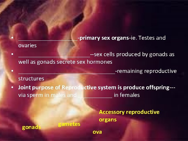 • __________-primary sex organs-ie. Testes and ovaries • ____________--sex cells produced by gonads • __________-primary sex organs-ie. Testes and ovaries • ____________--sex cells produced by gonads