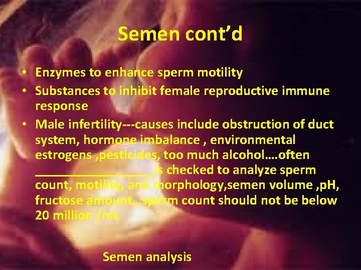 Semen cont’d • Enzymes to enhance sperm motility • Substances to inhibit female reproductive Semen cont’d • Enzymes to enhance sperm motility • Substances to inhibit female reproductive