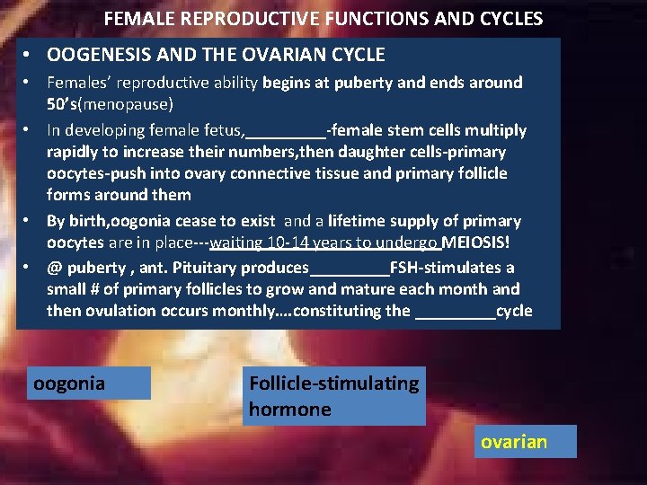 FEMALE REPRODUCTIVE FUNCTIONS AND CYCLES • OOGENESIS AND THE OVARIAN CYCLE • Females’ reproductive FEMALE REPRODUCTIVE FUNCTIONS AND CYCLES • OOGENESIS AND THE OVARIAN CYCLE • Females’ reproductive