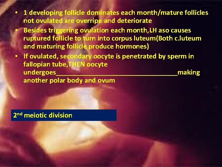 • 1 developing follicle dominates each month/mature follicles not ovulated are overripe and • 1 developing follicle dominates each month/mature follicles not ovulated are overripe and
