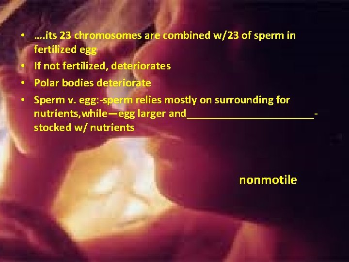 • …. its 23 chromosomes are combined w/23 of sperm in fertilized egg • …. its 23 chromosomes are combined w/23 of sperm in fertilized egg
