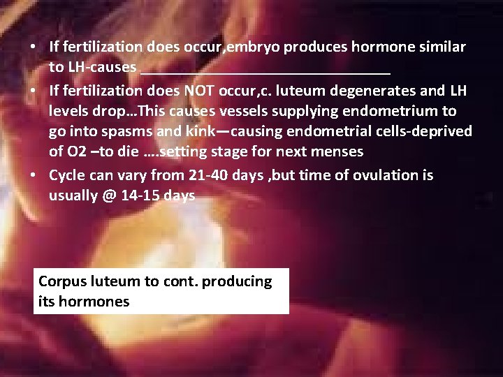 • If fertilization does occur, embryo produces hormone similar to LH-causes _______________ • • If fertilization does occur, embryo produces hormone similar to LH-causes _______________ •