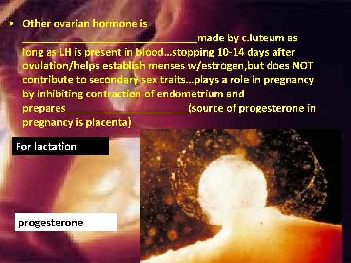 • Other ovarian hormone is _______________made by c. luteum as long as LH • Other ovarian hormone is _______________made by c. luteum as long as LH