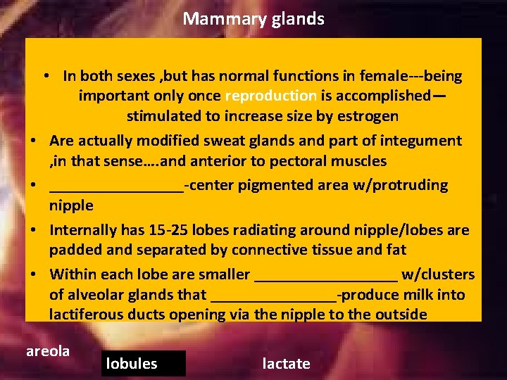 Mammary glands • • • In both sexes , but has normal functions in Mammary glands • • • In both sexes , but has normal functions in