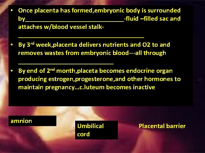 • Once placenta has formed, embryonic body is surrounded by_______________-fluid –filled sac and • Once placenta has formed, embryonic body is surrounded by_______________-fluid –filled sac and