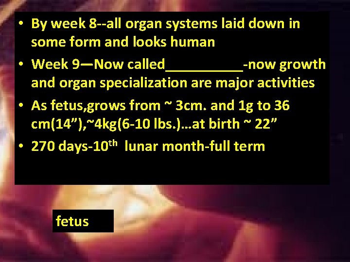 • By week 8 --all organ systems laid down in some form and • By week 8 --all organ systems laid down in some form and