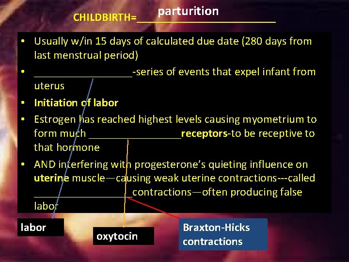 parturition CHILDBIRTH=____________ • Usually w/in 15 days of calculated due date (280 days from parturition CHILDBIRTH=____________ • Usually w/in 15 days of calculated due date (280 days from