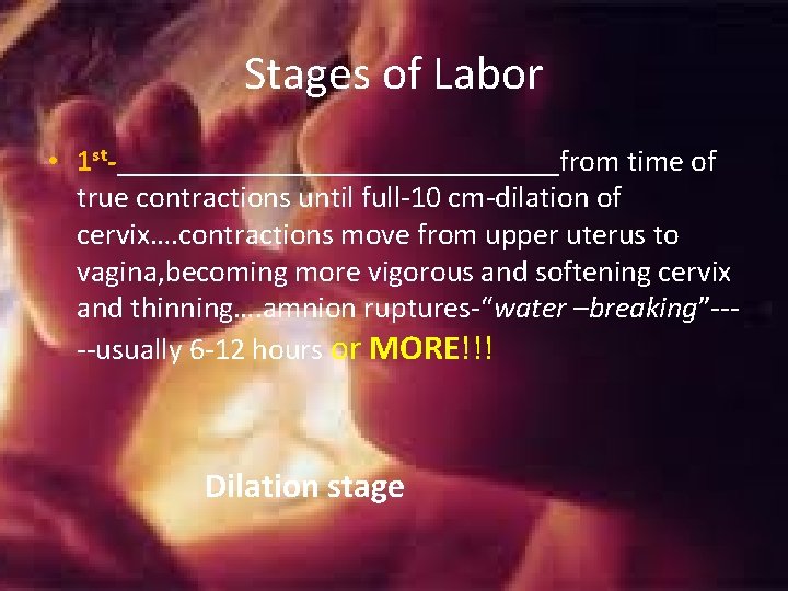 Stages of Labor • 1 st-_______________from time of true contractions until full-10 cm-dilation of Stages of Labor • 1 st-_______________from time of true contractions until full-10 cm-dilation of
