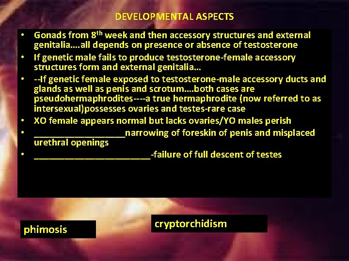 DEVELOPMENTAL ASPECTS • Gonads from 8 th week and then accessory structures and external DEVELOPMENTAL ASPECTS • Gonads from 8 th week and then accessory structures and external