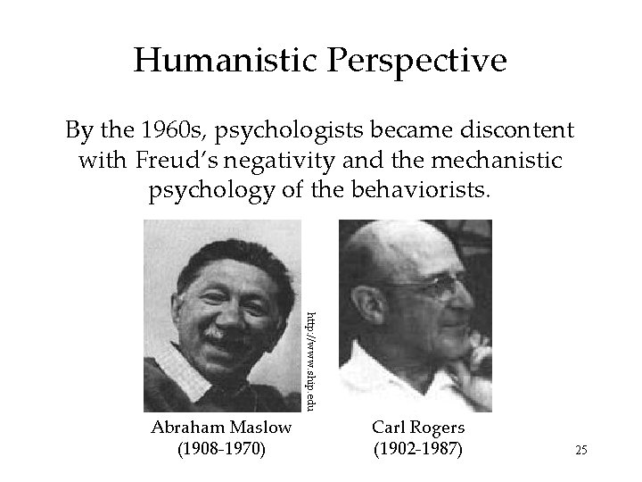 Humanistic Perspective By the 1960 s, psychologists became discontent with Freud’s negativity and the