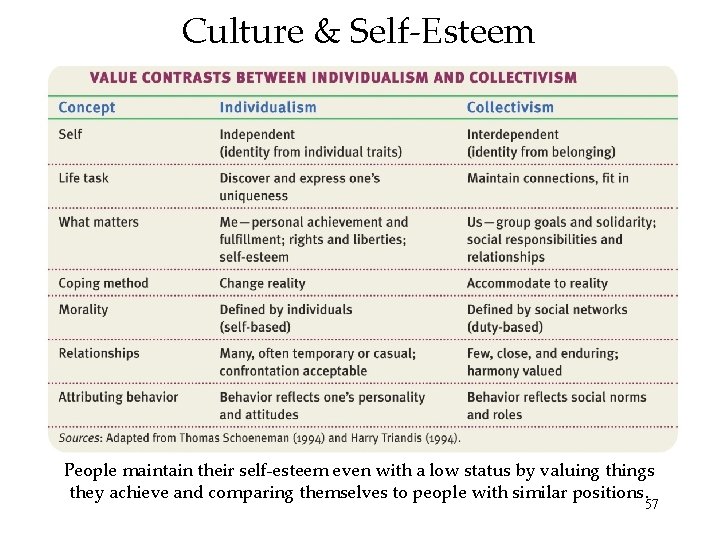 Culture & Self-Esteem People maintain their self-esteem even with a low status by valuing