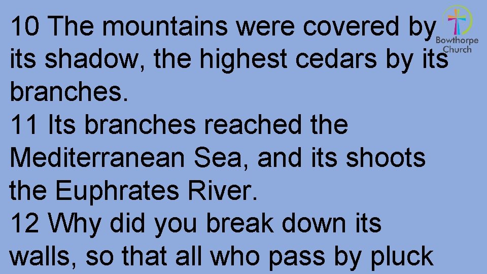 10 The mountains were covered by its shadow, the highest cedars by its branches.