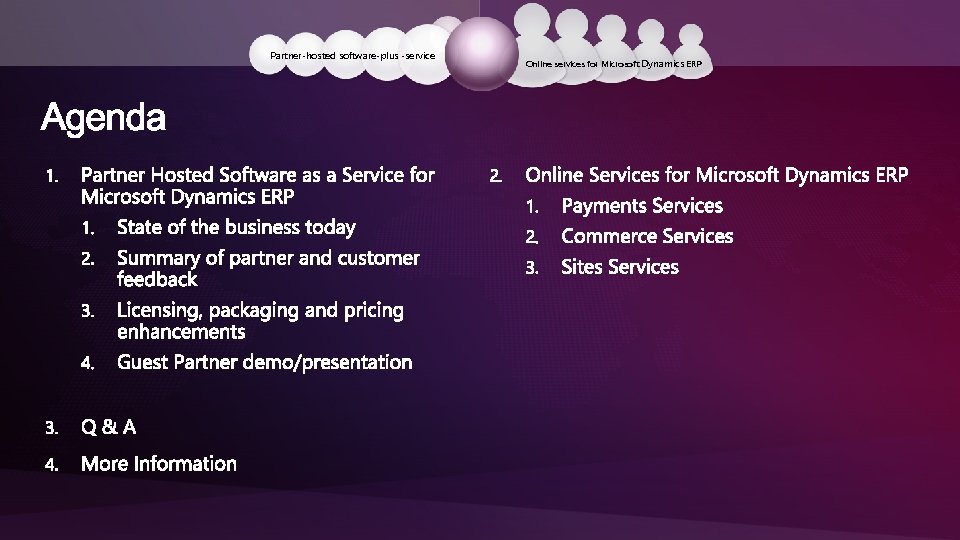 Partner-hosted software-plus -service Online services for Microsoft Dynamics ERP 