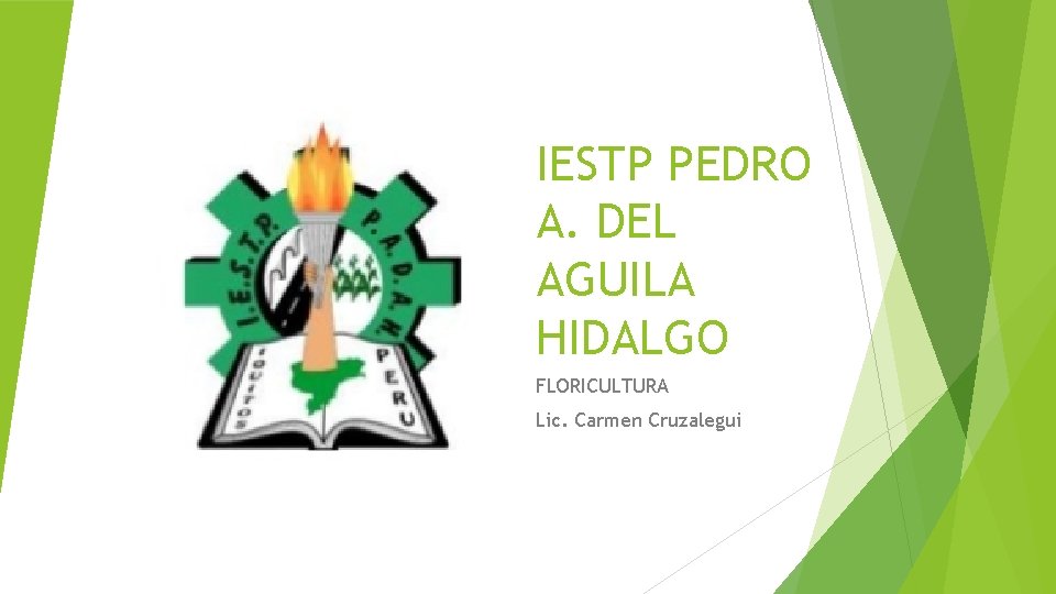 IESTP PEDRO A. DEL AGUILA HIDALGO FLORICULTURA Lic. Carmen Cruzalegui 