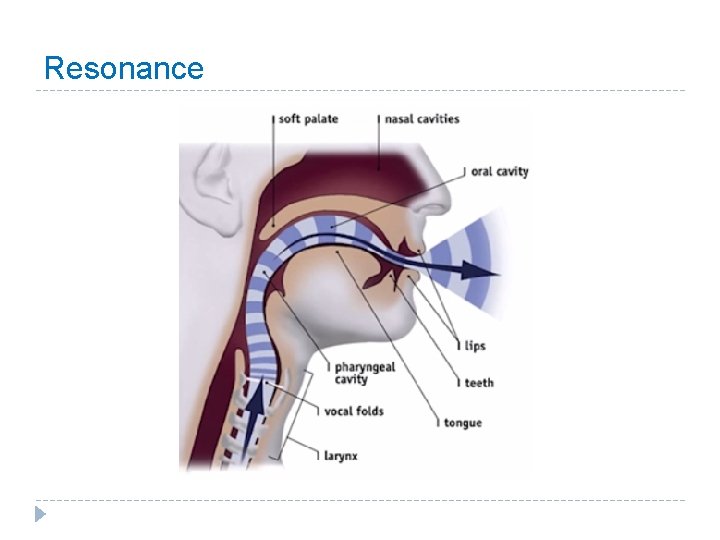 Resonance 