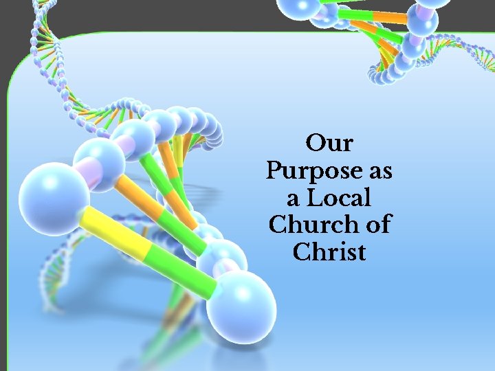 Our Purpose as a Local Church of Christ 