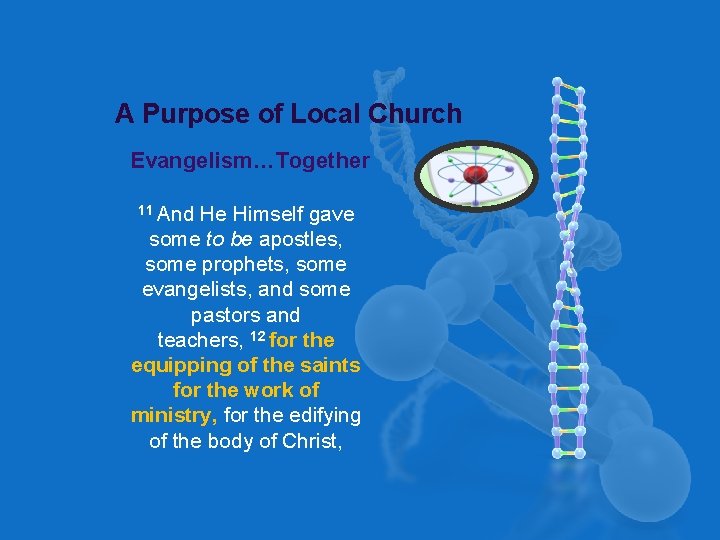 A Purpose of Local Church Evangelism…Together 11 And He Himself gave some to be