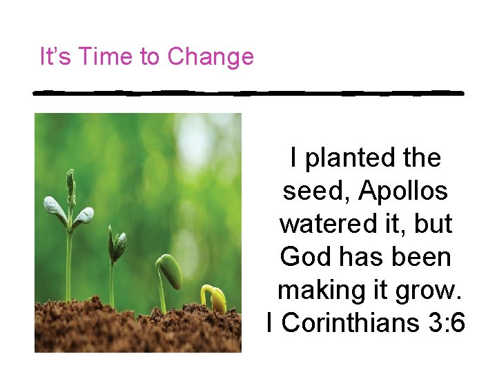 It’s Time to Change I planted the seed, Apollos watered it, but God has