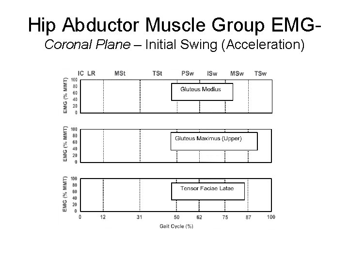 Hip Abductor Muscle Group EMGCoronal Plane – Initial Swing (Acceleration) 