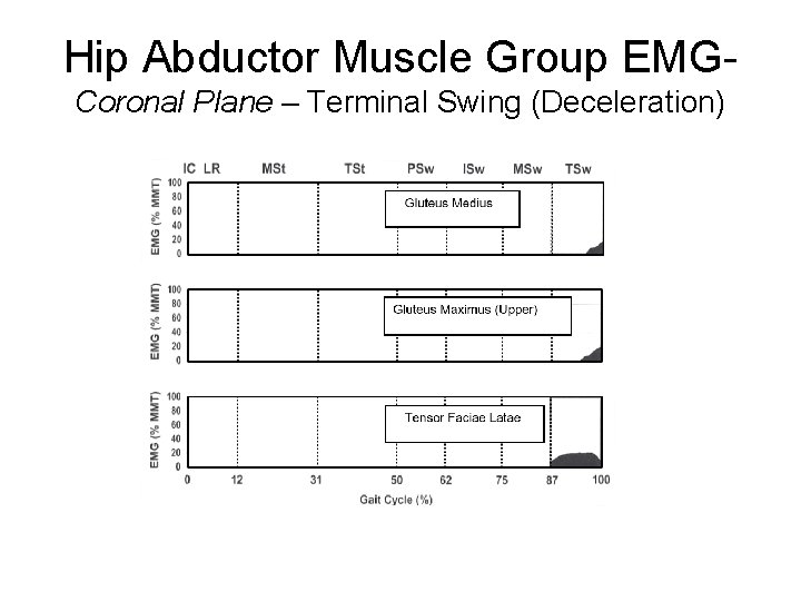 Hip Abductor Muscle Group EMGCoronal Plane – Terminal Swing (Deceleration) 